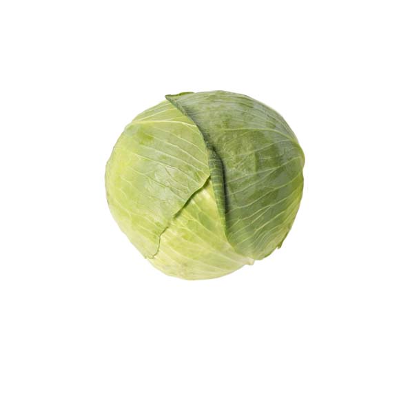 양배추 / Cabbage 1.5kg