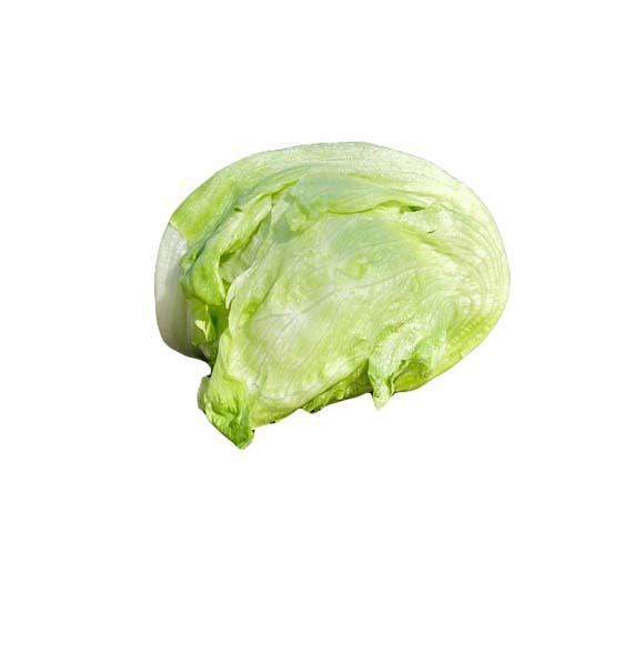 양상추 / Iceberg Lettuce 1kg