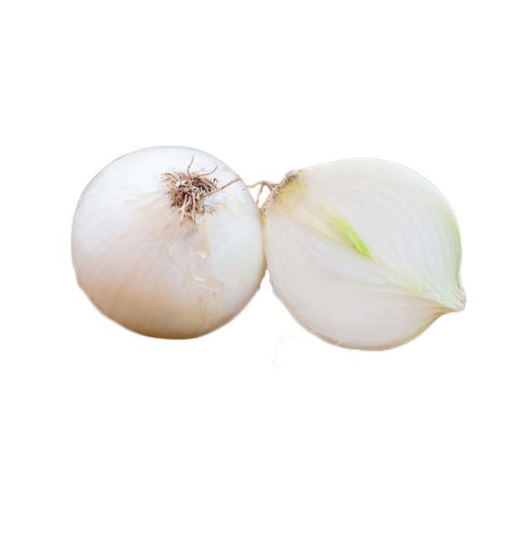 양파(백) / White Onion 1kg