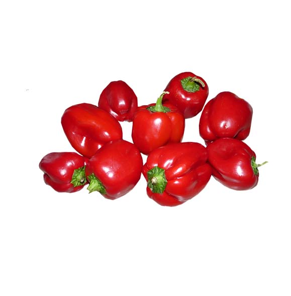 피망(홍) / Capsicum Red 1 Kg