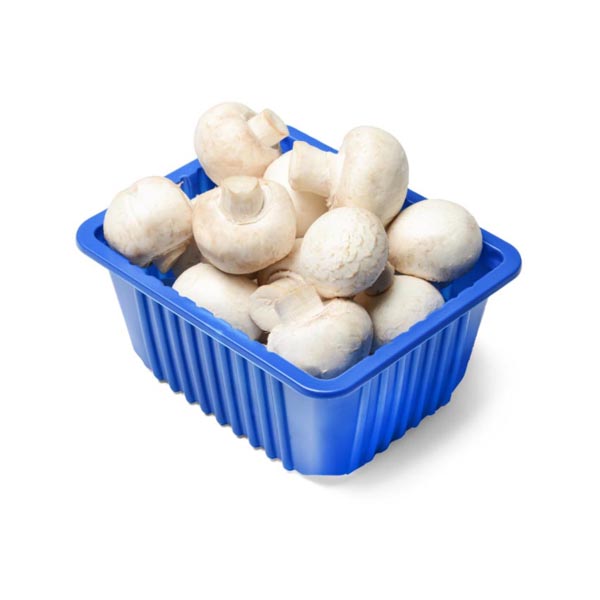 버섯(양송이) / White Mushroom 250g